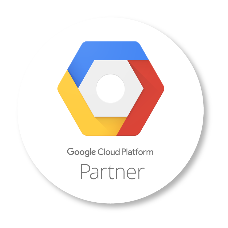 LEVEL2-GOOGLE PARTNER.png